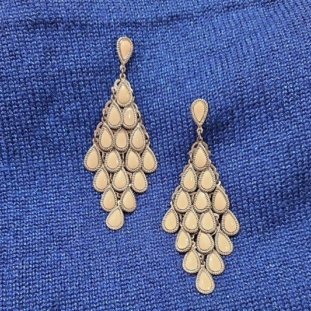 Chic Teardrop Earrings